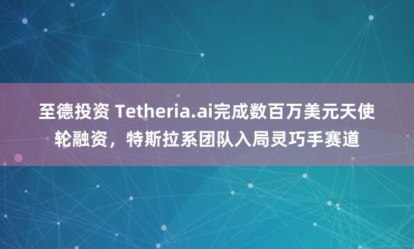 至德投资 Tetheria.ai完成数百万美元天使轮融资，特斯拉系团队入局灵巧手赛道