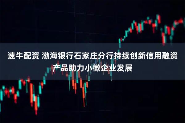 速牛配资 渤海银行石家庄分行持续创新信用融资产品助力小微企业发展