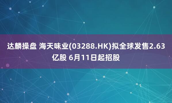 达麟操盘 海天味业(03288.HK)拟全球发售2.63亿股 6月11日起招股