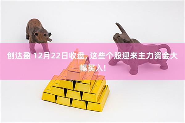 创达盈 12月22日收盘, 这些个股迎来主力资金大幅买入!